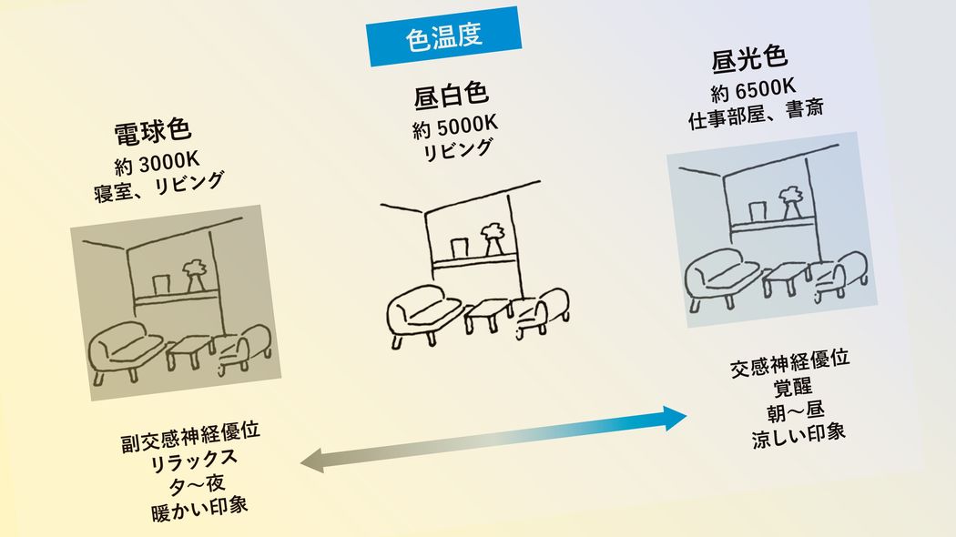 運動でも食べ物でもない…研究で証明｢睡眠時間が平均66分延びて朝の眠気を抑制した"部屋のひと工夫"｣