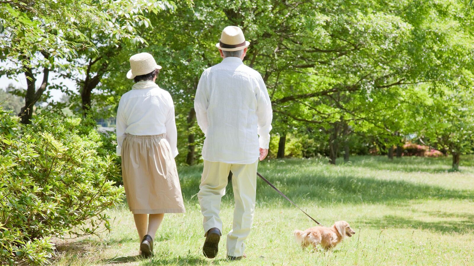 万引きで野菜を盗んだのは節約したくて…夫に先立たれた80代女性は生活に困ってもいないのに3度も刑務所へ 孤独な"貧乏ばあさん"が多くなれば収監者も増える