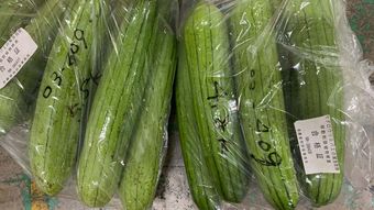 ｢もはや異常事態｣沖縄の野菜は自由な持ち出しNG…日本本土にまで迫る"特殊害虫"の正体