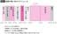 出典＝『<a href="https://www.amazon.co.jp/dp/4043300484/ref=nosim?tag=f-pol-22" target="_blank">東大医学部卒河野ゆかりの 「仕組み化」勉強法　意志力に頼らない学習自走化メソッド</a>』