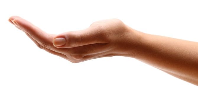 大人の女性の手