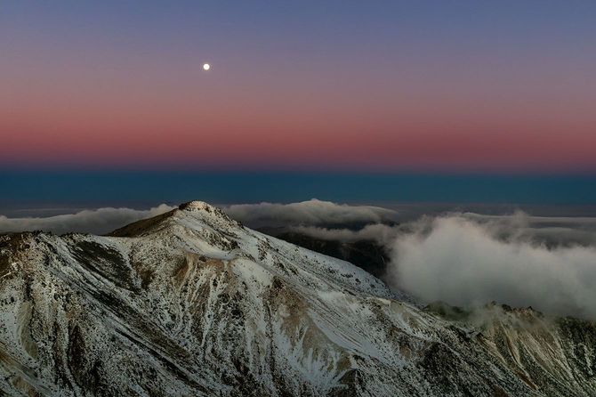 2026佳作（1）「ビーナスベルト」大西秀治さん