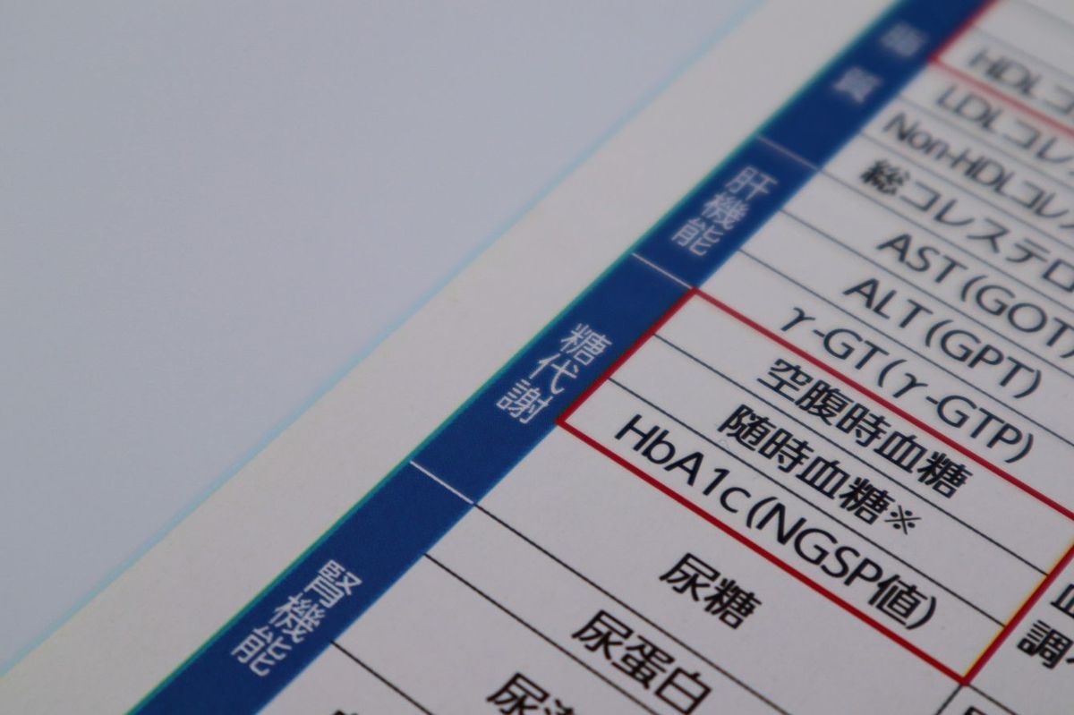 日本の健康診断用紙の接写