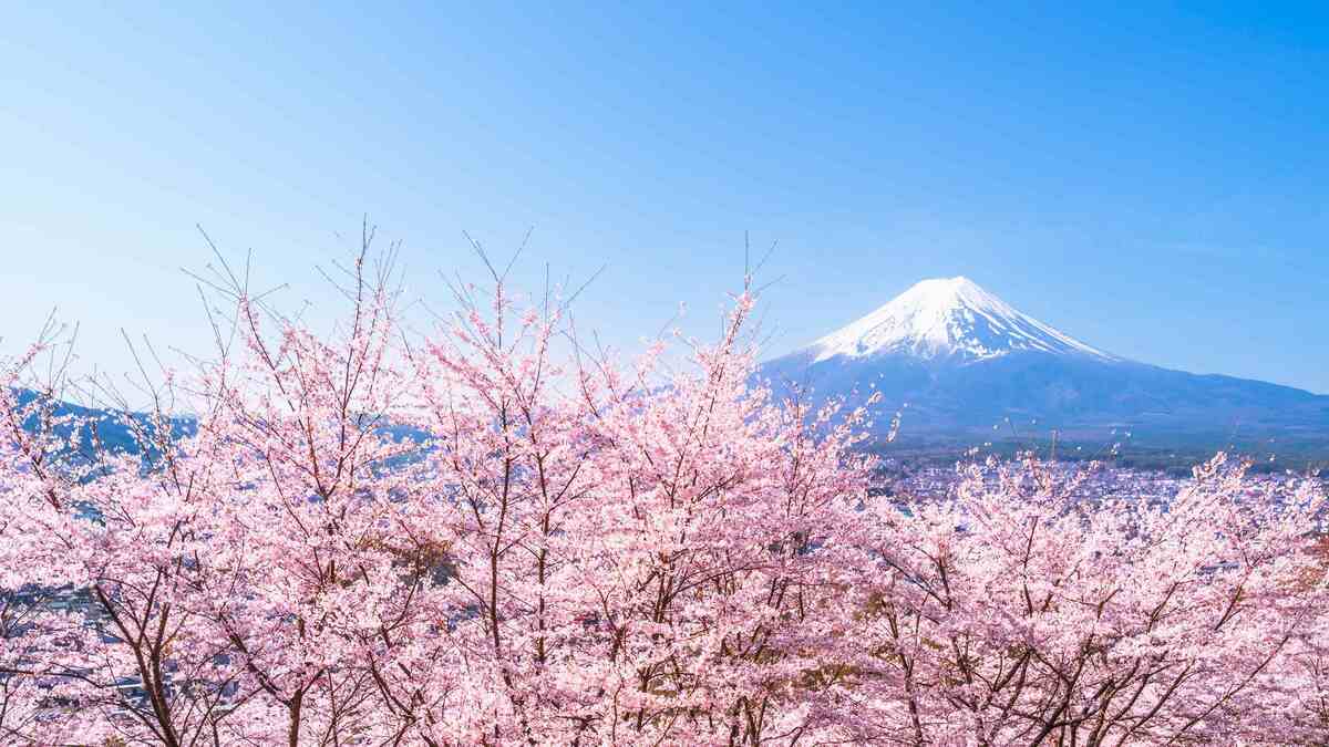 四季がなければ桜が咲くことも､米が育つこともなかった…今さら聞けない