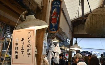 ｢1匹5円｣の不人気サカナ→観光客が押し寄せる｢幻の刺身｣に…高知の一部でしか食べられない｢激レア魚｣の正体