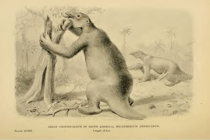 いまは絶滅してしまった体長6メートルのナマケモノ