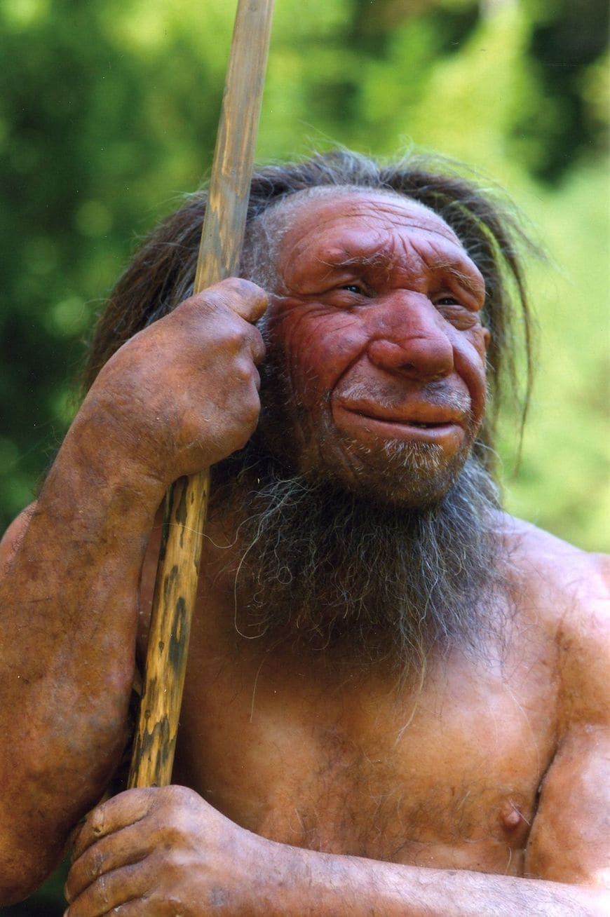 「Mr. N」Homo sapiens neanderthalensis