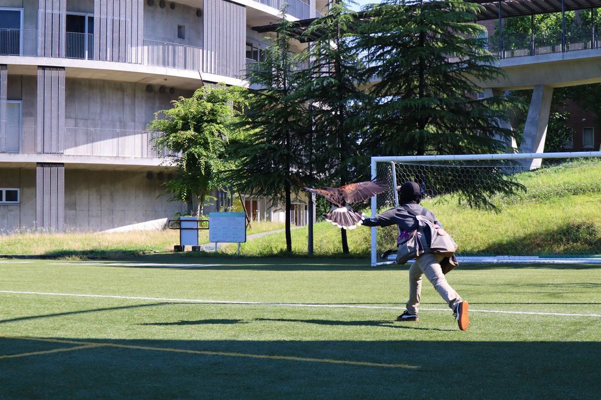 神奈川県内の大学から依頼を受け、カラスを追い払う江頭さん