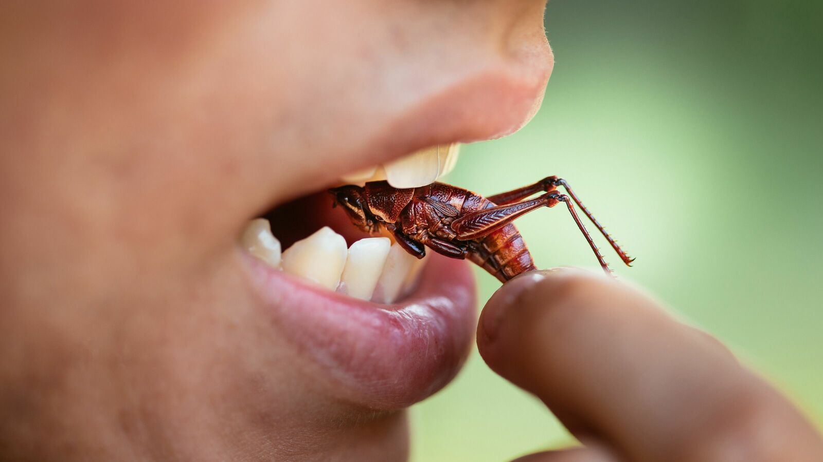 ようやく世界が日本に追いついた…欧米メディアが｢日本の昆虫食｣を熱心に取り上げるワケ 古くからある食文化が先進的に見える