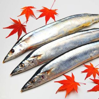 さよなら 秋サンマ 温暖化で食卓の四季が失われていく 記録的不良で1匹1000円以上 President Online プレジデントオンライン