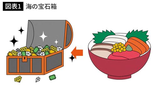 海の宝石箱
