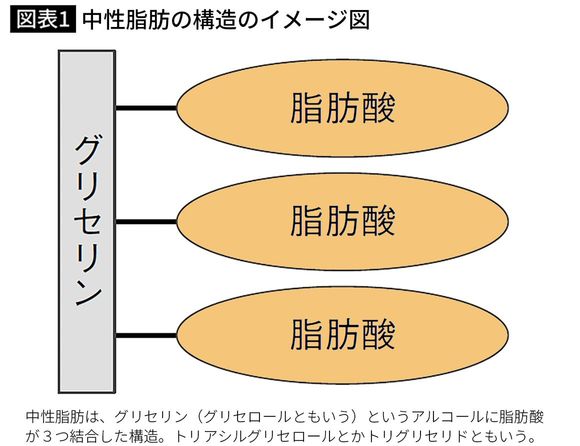 【図表1】【図表1】中性脂肪の構造のイメージ図