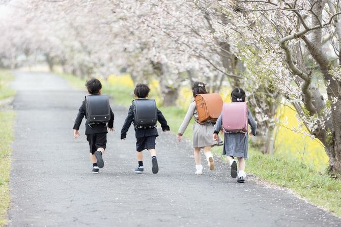子供の卒園・入学