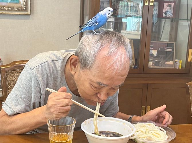 前場が引けて、ペットの7代目ピーちゃんを頭に乗せながら昼食のうどんを食べるシゲルさん