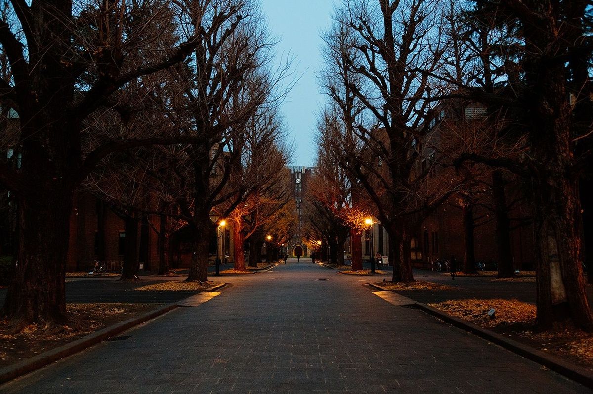 東京大学本郷キャンパス