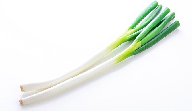 2本の長ネギ