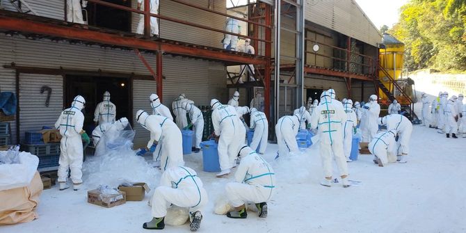 高病原性とみられる鳥インフルエンザが発生した香川県三豊市の養鶏場で殺処分を行う県職員ら＝2020年12月2日［同県提供］