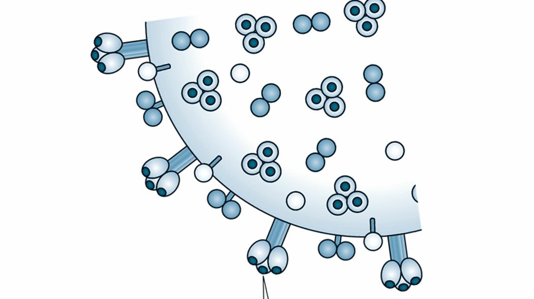 ｢血液型でコロナ重症化リスクがこんなに違う｣O型に比べ重症化リスクが1.84倍にもなる血液型とは
