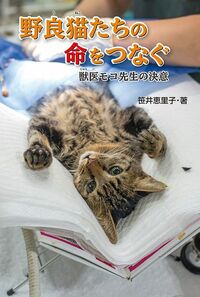 笹井恵里子『野良猫たちの命をつなぐ　獣医モコ先生の決意』（金の星社）