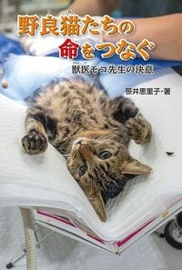 笹井恵里子『野良猫たちの命をつなぐ　獣医モコ先生の決意』（金の星社）