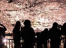 電力会社乗り換え「●年縛り」に気をつけろ