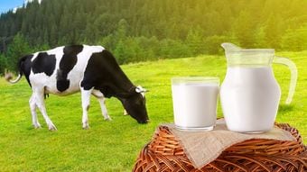 ｢コロナ対策にも有用｣牛乳を飲むなら6種類のうちどれを選べばいいか