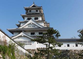 7人の主に仕えた戦国屈指の"二番手武将"