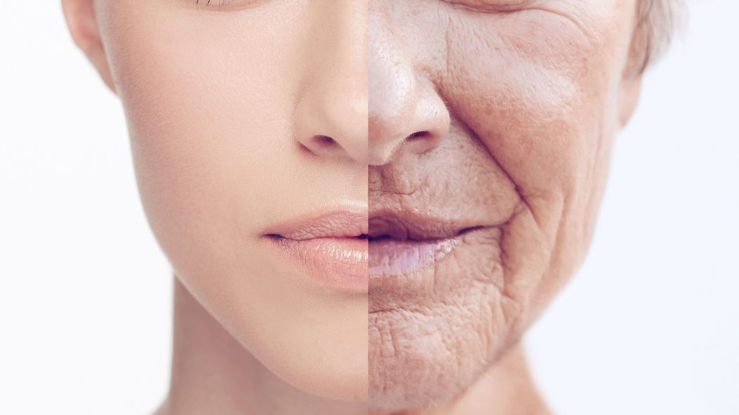 昼食の｢おにぎり2個｣のうち1個を置き換えるだけ…肥満､老化予防に効く｢コンビニで買える最強の一品｣