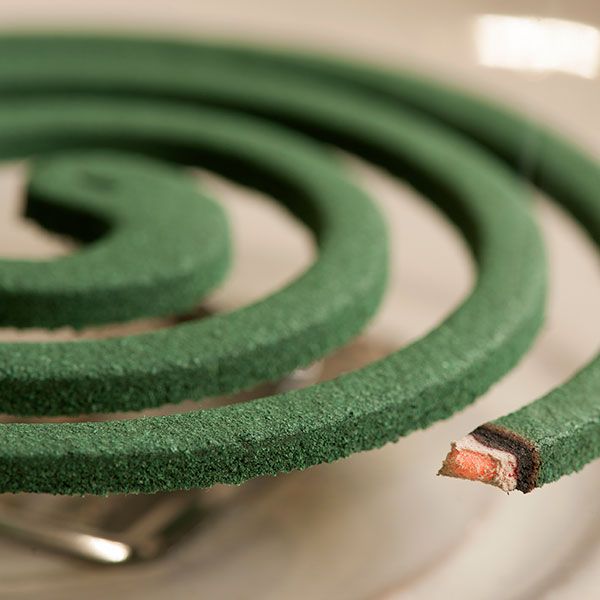 蚊取り線香が 渦巻き型 になった理由を説明できるか 世界初の 蚊取り線香 を生み出した ある農家 の軌跡 当初は ミカンを輸出 するつもりだった President Online プレジデントオンライン