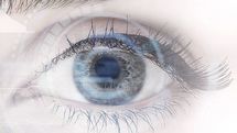 1時間に1秒行うだけで視力が回復する…目が乾きすぎた現代人に眼科医が勧める