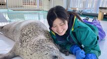 保護しても3割の命は助からない…アザラシ好きが高じて飼育員になった36歳女性が直面した救助の現実