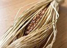 寒くなると腹が減る！食欲の秋を乗り切る「納豆」の味わい方