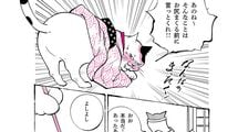 目の悪い夫のために目薬を買ってきた妻は意外な行動をとることに…猫が教えてくれる古典落語｢目薬｣