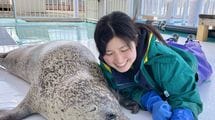保護しても3割の命は助からない…アザラシ好きが高じて飼育員になった36歳女性が直面した救助の現実