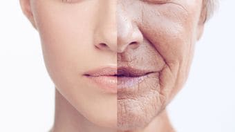 昼食の｢おにぎり2個｣のうち1個を置き換えるだけ…肥満､老化予防に効く｢コンビニで買える最強の一品｣【2025年12月BEST】