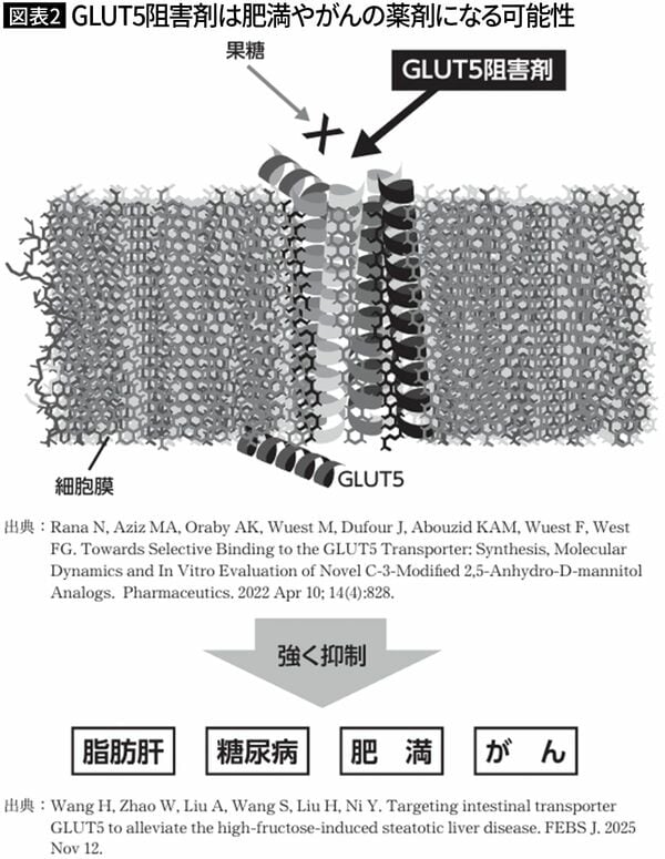 【図表2】GLUT5阻害剤は肥満やがんの薬剤になる可能性