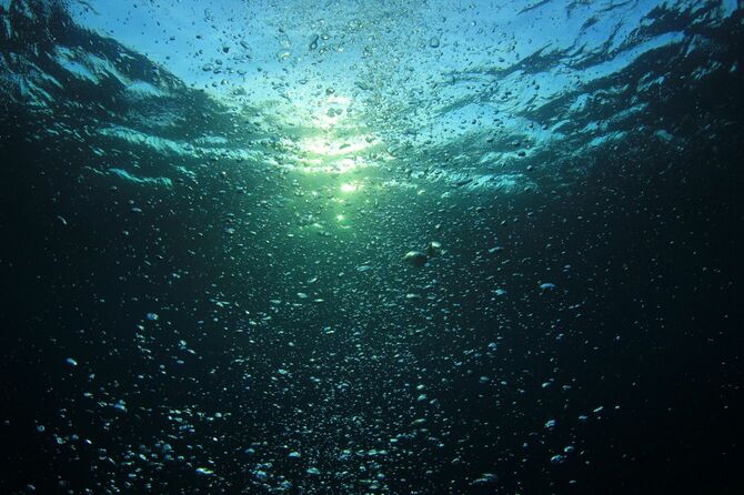 水の中から水面を見上げる写真