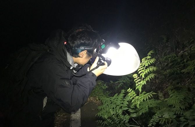 新種のゴキブリを求め石垣島を調査する