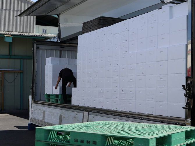 ブロッコリー輸送の様子