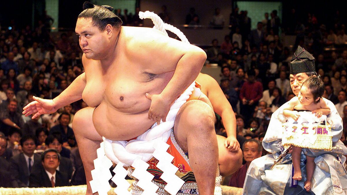 大相撲 優勝額 横綱 曙 手間どっ レア