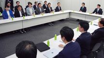 消費減税は高市内閣にとっての｢天王山｣だ