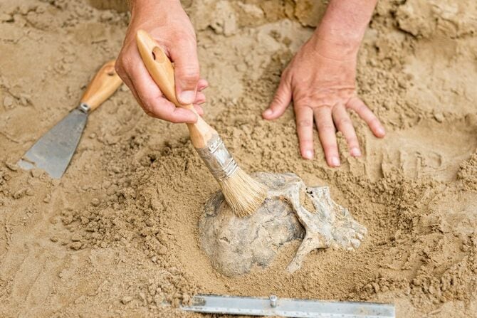 ブラシで砂をどける遺跡の発掘作業