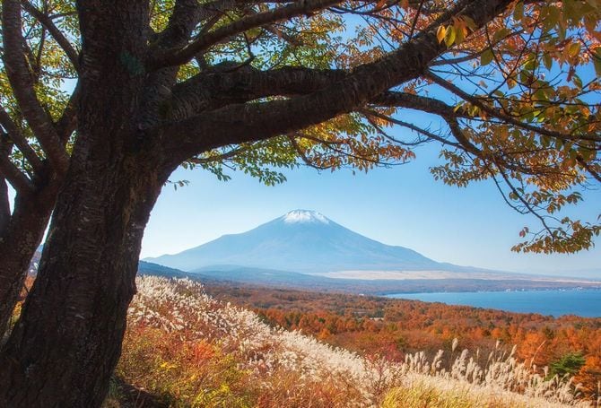 山中湖から見た富士山