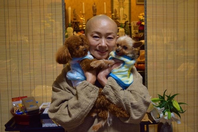 2匹の「副住職」と髙橋美清さん