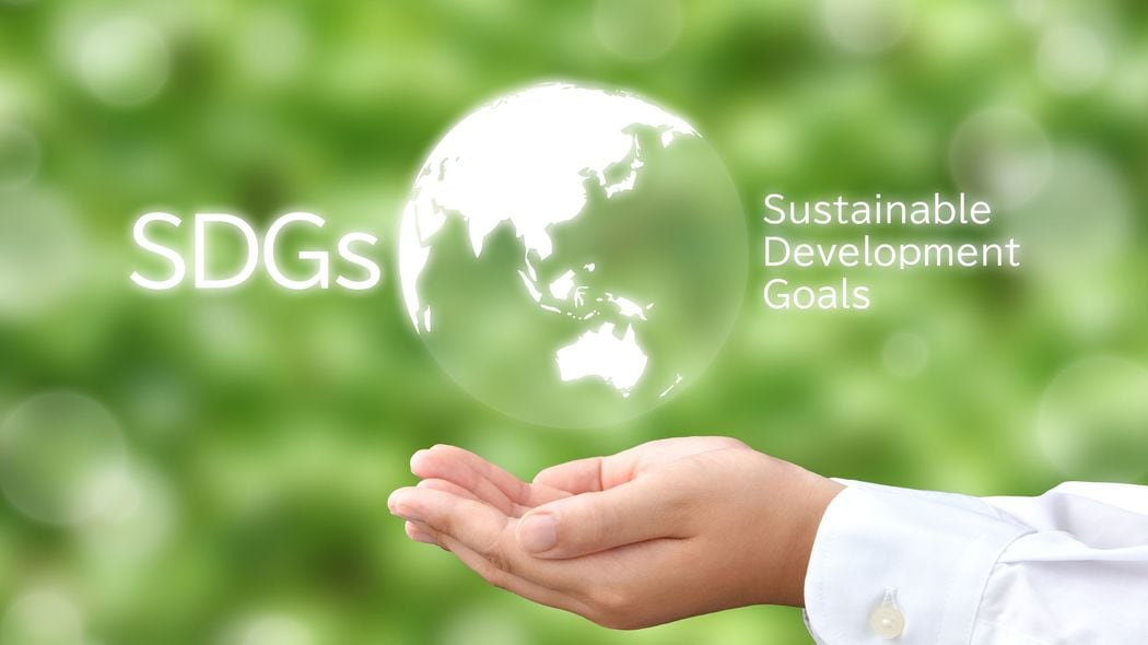 SDGsバッジは外国人から｢謎のカルト｣と思われている…SDGsが通じるのは日本だけという残念な事実 日本人は"多国籍な町内会"である国連が大好き