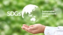 SDGsバッジは外国人から｢謎のカルト｣と思われている…SDGsが通じるのは日本だけという残念な事実