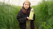 急逝した義父のアスパラ畑をヨメが継ぐ…｢ダサい｣｢汚い｣｢儲からない｣を卒業した主婦の驚きの販売方法