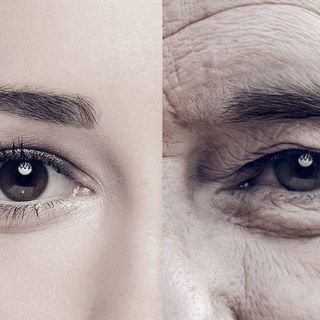 40代で一気に 顔の老化 が進む人が毎朝食べているもの 血管の専門家が老け顔を科学する President Online プレジデントオンライン