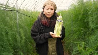 急逝した義父のアスパラ畑をヨメが継ぐ…｢ダサい｣｢汚い｣｢儲からない｣を卒業した主婦の驚きの販売方法