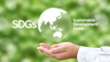 SDGsバッジは外国人から｢謎のカルト｣と思われている…SDGsが通じるのは日本だけという残念な事実